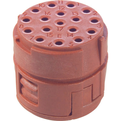 imagem3