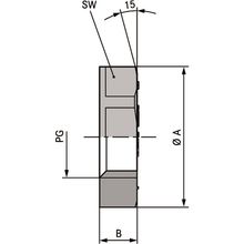Contra Porca SKINTOP GMP GL PG 7 RAL 7001 SGY - 53019000