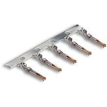 Pino D Sub EPIC D Sub BCBG AU G3 0 08 0 22  500 - 44429009