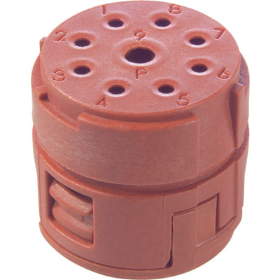 imagem1